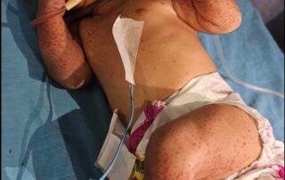 Screenshot 2024-10-12 133505